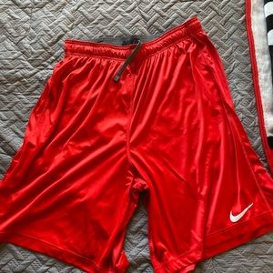 Nike Dri-Fir Training Shorts